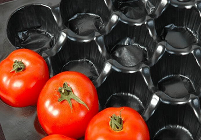 Lorem ipsum dolor sit amet consectetur adipisicing elit.